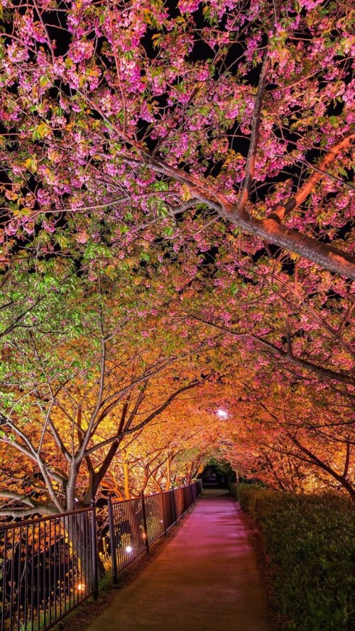 mobile nature tree 115