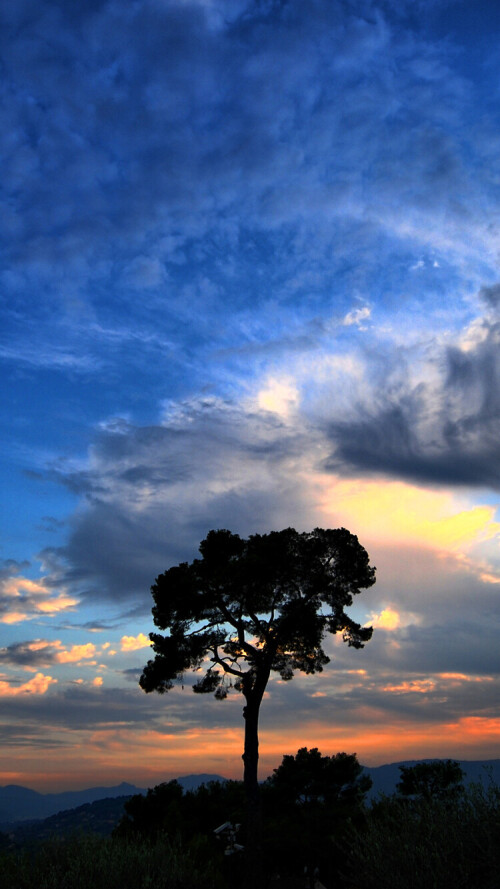 mobile nature tree 252