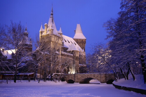 castle_019.jpg
