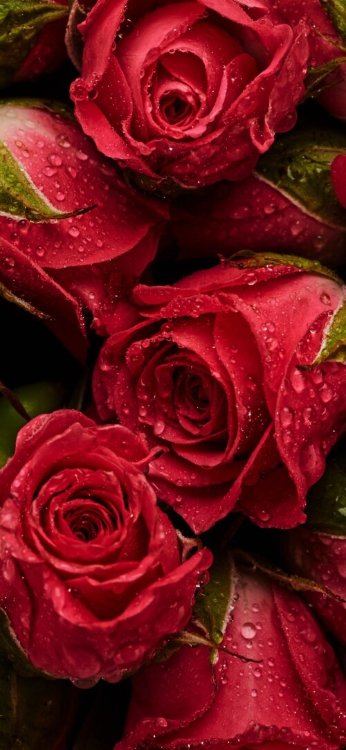 flowers-mobile_081.jpg