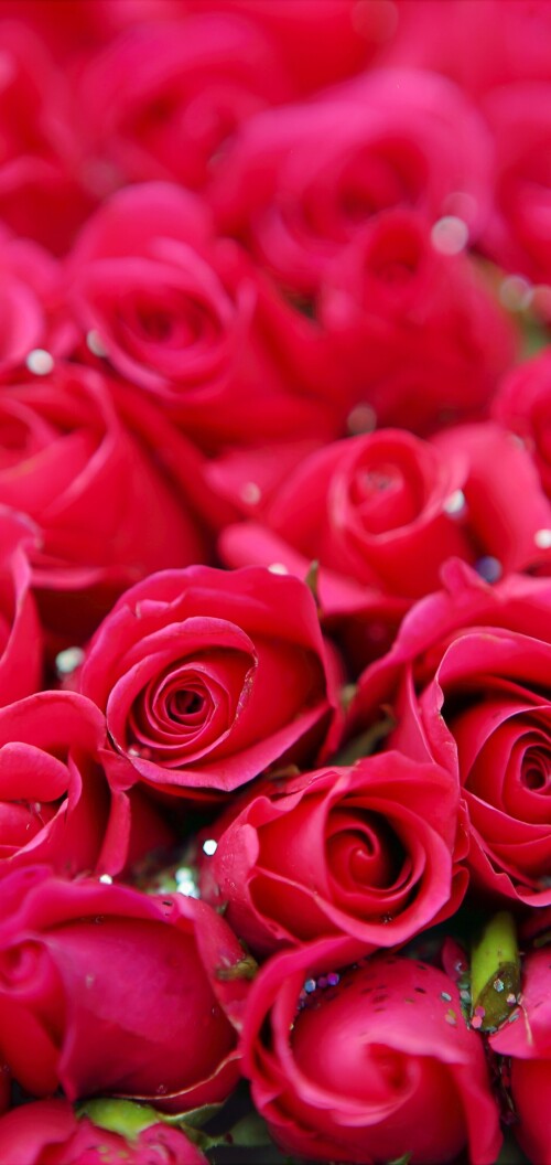 flowers-mobile_089.jpg