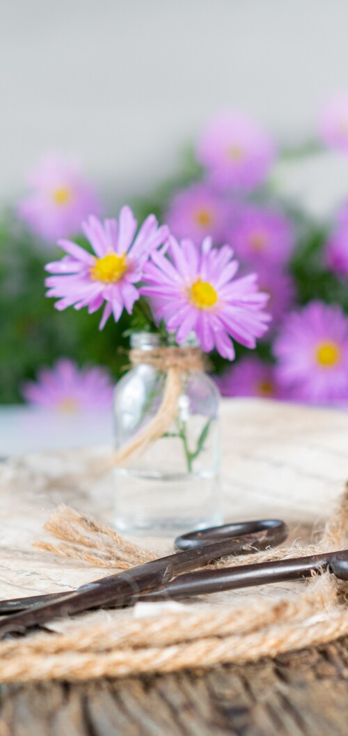 flowers-mobile_090.jpg