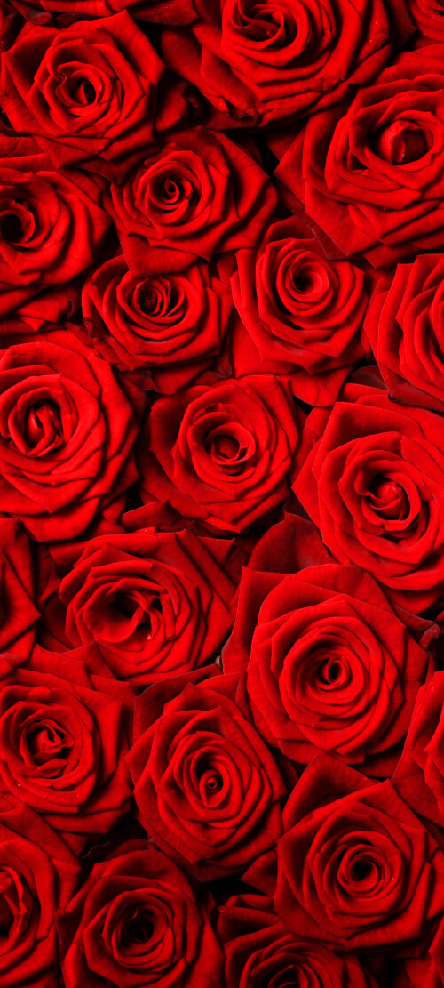 flowers-mobile_091.jpg