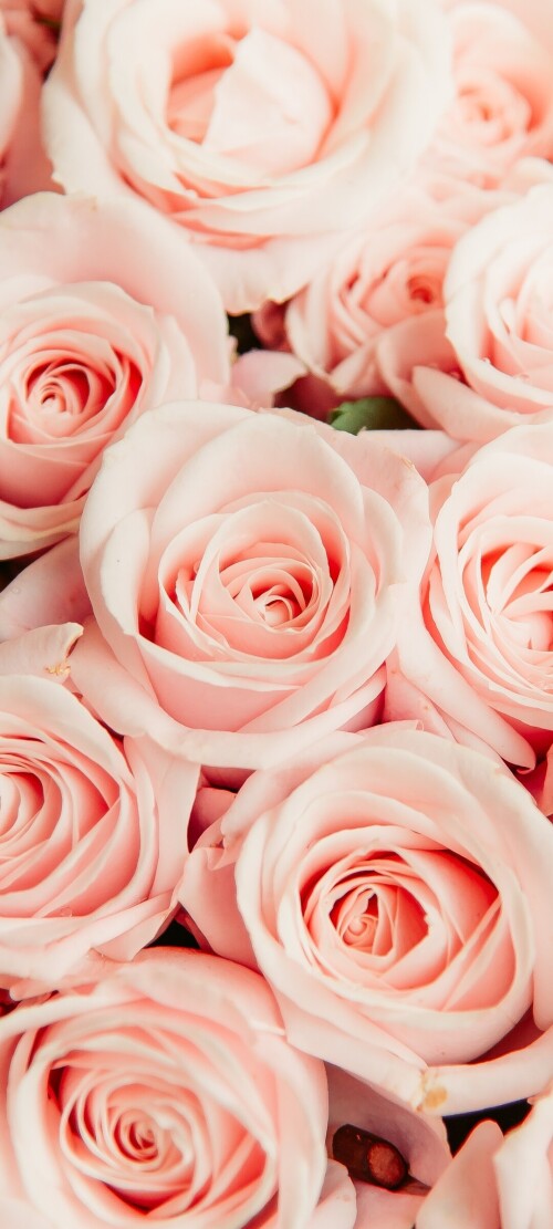flowers-mobile_093.jpg