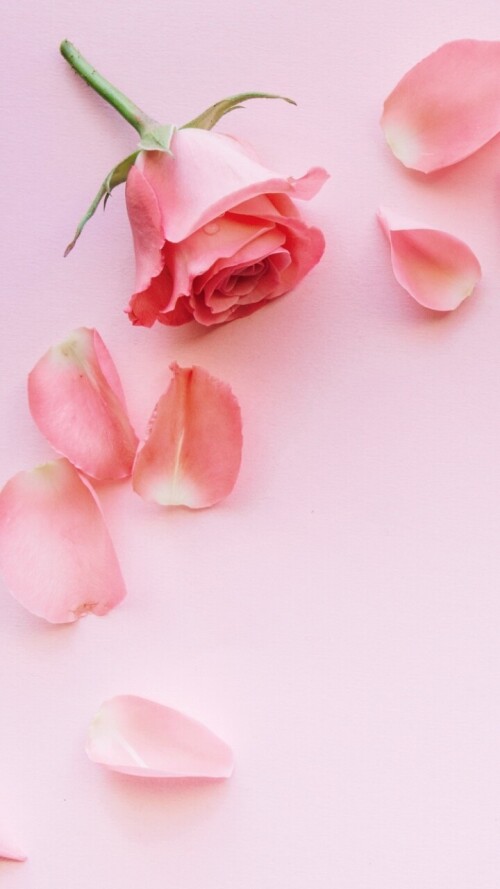 flowers-mobile_102.jpg