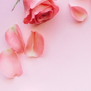 flowers-mobile_102
