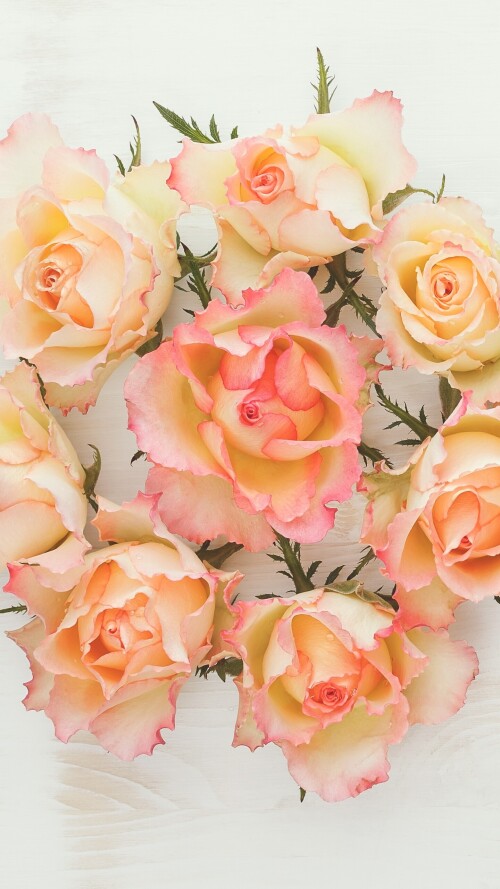 flowers-mobile_121.jpg