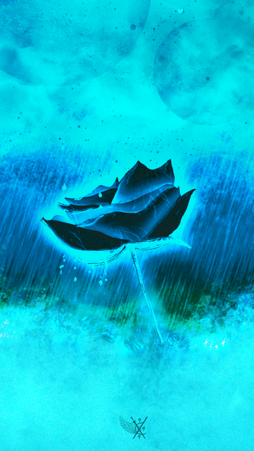 flowers-mobile_128.png