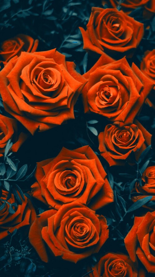 flowers-mobile_138.jpg
