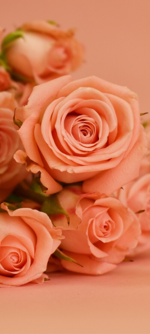 flowers-mobile_148.jpg