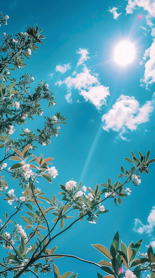 flowers-mobile_185.jpg