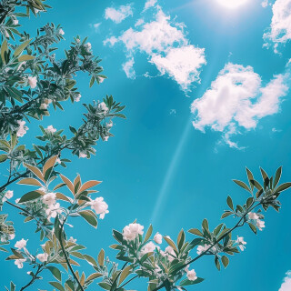 flowers-mobile_185