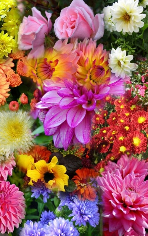 flowers-mobile_116.jpg