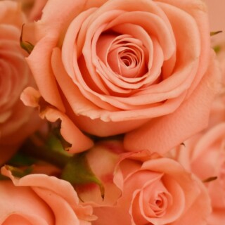 flowers-mobile_148