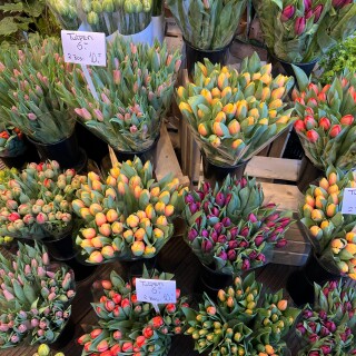 Amsterdam_0478