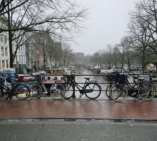 Amsterdam_0552.jpeg