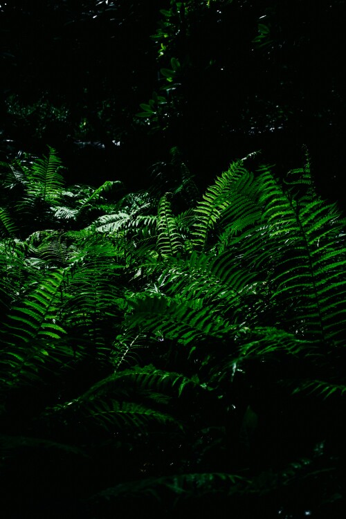 Berlin_0173.jpeg