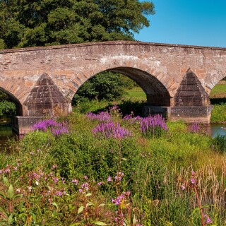 Bridge-_310