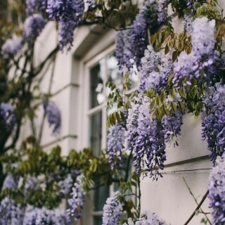 London_0370