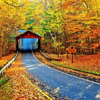 Road_0403