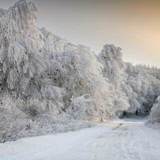 Road_0406