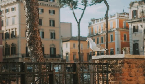 Rome_0051.jpeg
