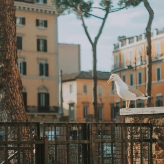 Rome_0051