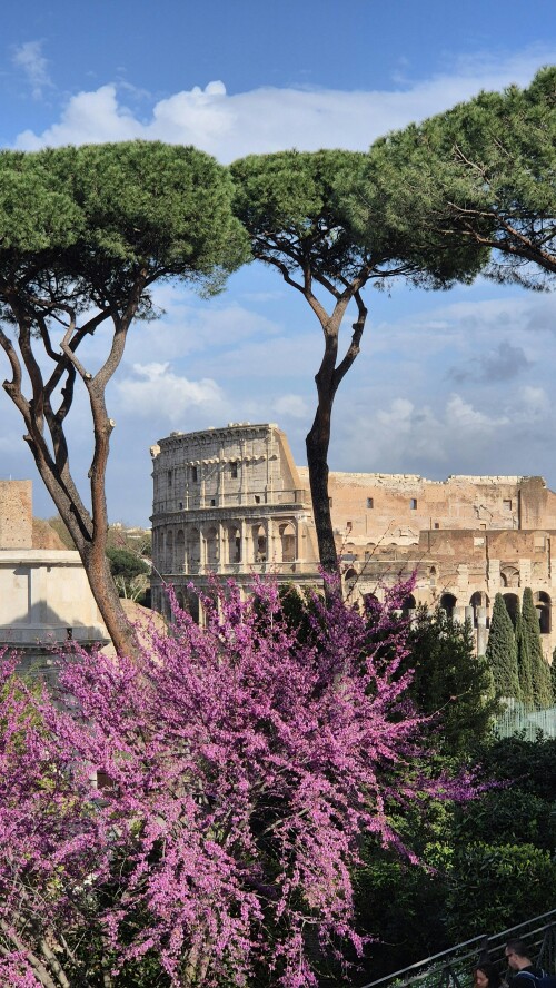 Rome_0094.jpeg