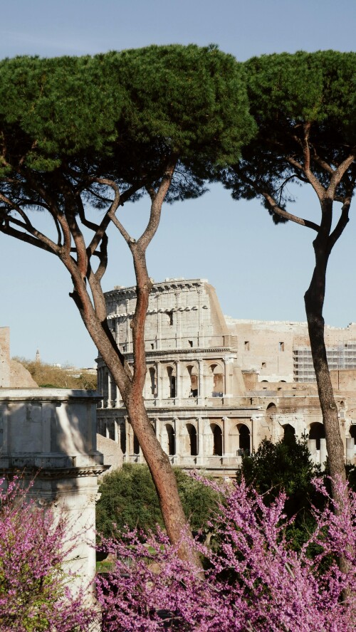 Rome_0178.jpeg