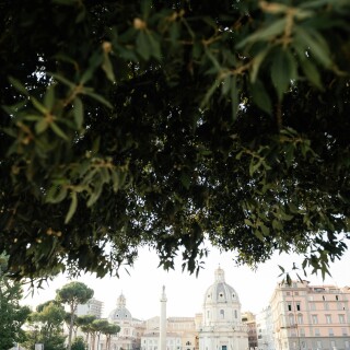 Rome_0345