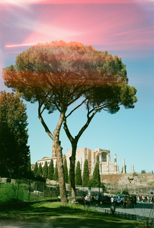 Rome_0360.jpeg