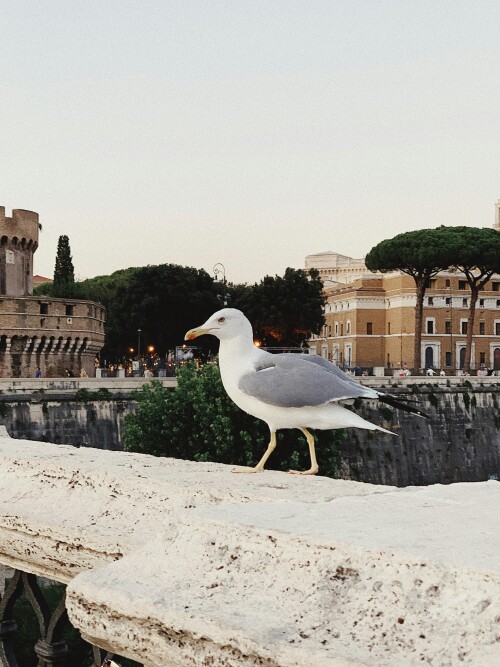 Rome_0394.jpeg