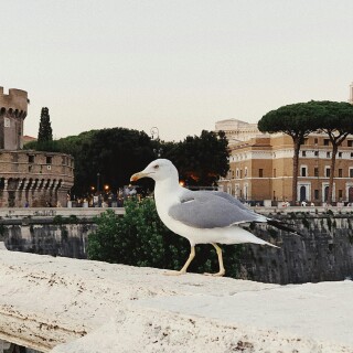 Rome_0394