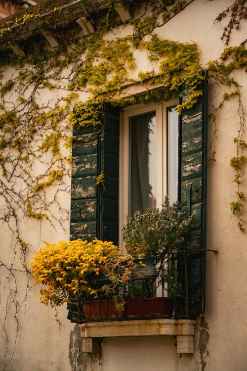 Venice_0781.jpeg