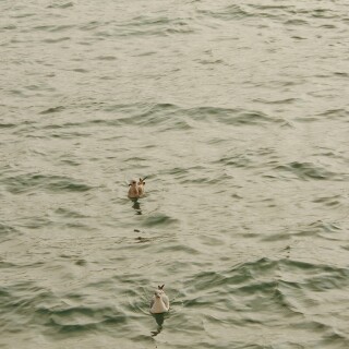 Venice_0898