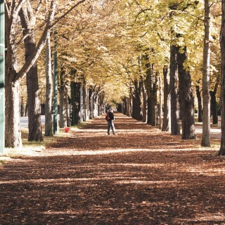 Vienna_0447