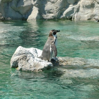Vienna_0475