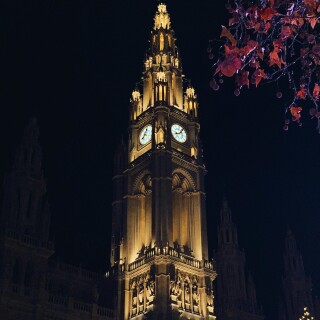 Vienna_0479