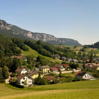 Vienna_0487