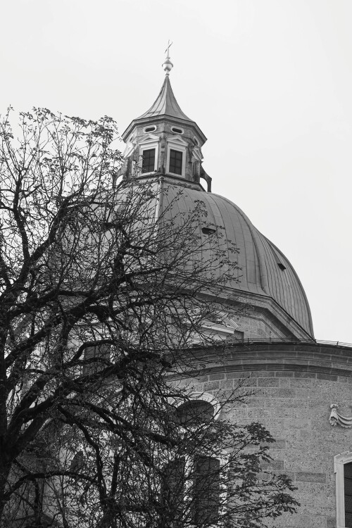 Vienna_0488.jpeg