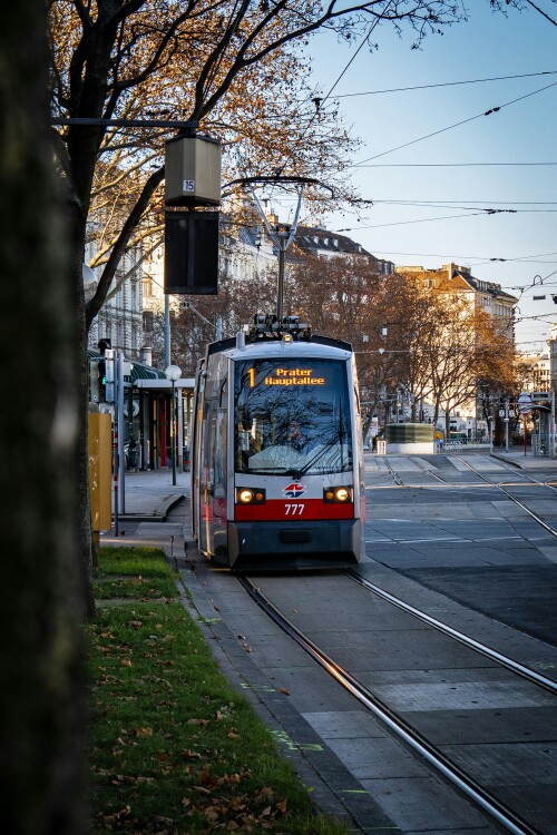 Vienna_1093.jpeg