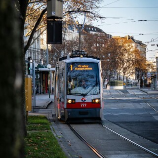 Vienna_1093
