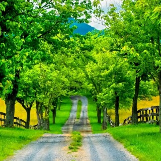 roads-mobile_10