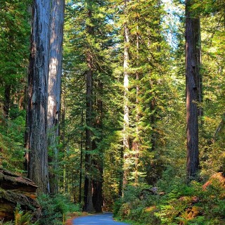 roads-mobile_12