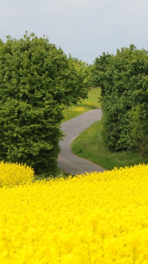 roads-mobile_13.jpg