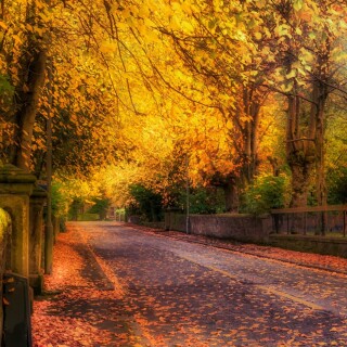 roads-mobile_35