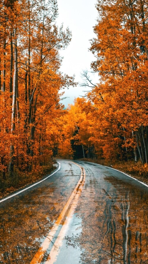 roads-mobile_54.jpg
