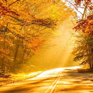 roads-mobile_58
