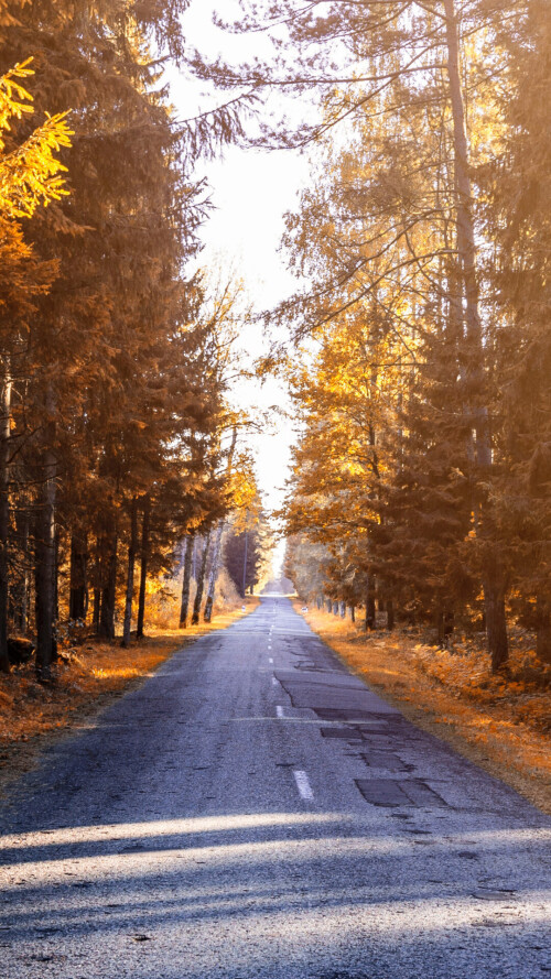 roads-mobile_65.jpg
