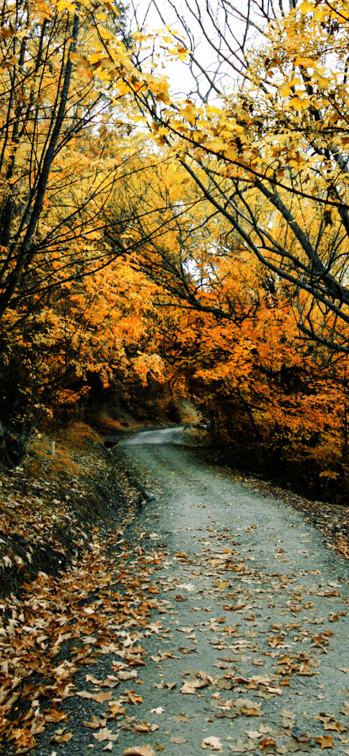 roads-mobile_70.jpg